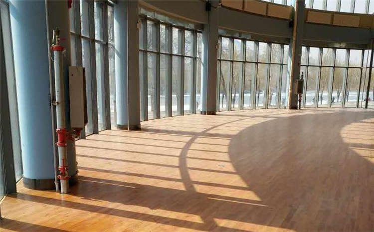 籃球館木地板