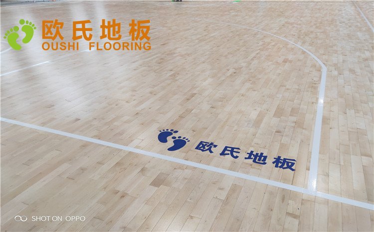 西寧市世紀職業(yè)技術(shù)學(xué)校籃球訓(xùn)練館木地板圖片